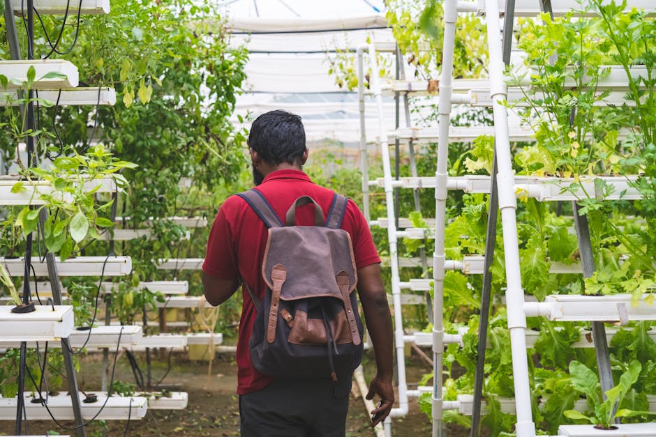 Urban Vertical Farming Initiative Aims to Supply 60% of Fresh Produce to Major Metropolitan Areas by 2026