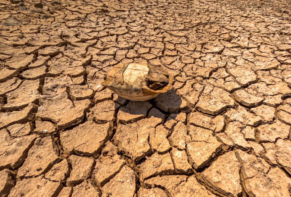 Global Water Crisis Reaches Tipping Point as 15 Major Cities Face Severe Shortages by 2026
