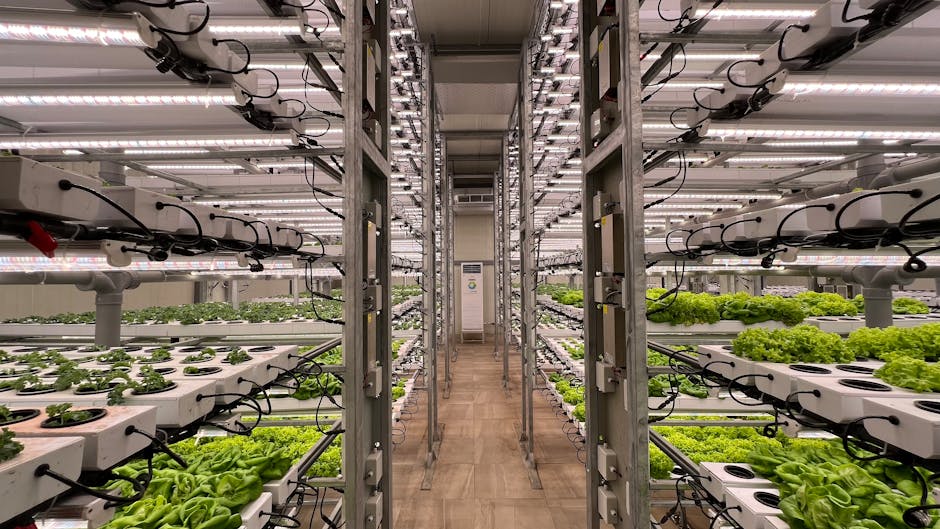 Urban Vertical Farming Initiative Aims to Supply 60% of Fresh Produce to Major Metropolitan Areas by 2026