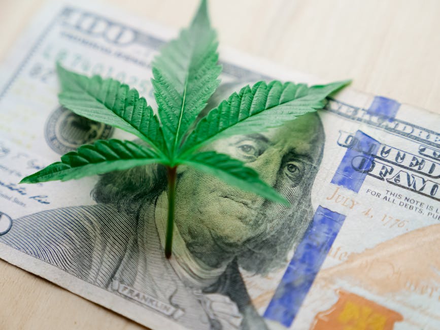 Federal Marijuana Legalization Bill Passes Senate Committee as 2026 Nationwide Vote Approaches