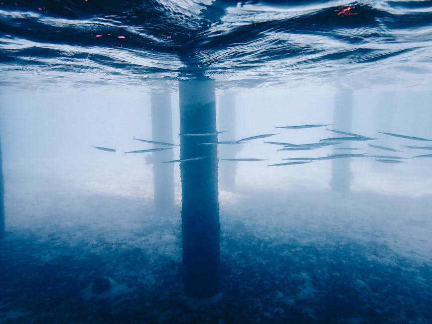 Revolutionary Underwater Cities Project Begins Construction in Pacific Ocean to House 50 Million Climate Refugees by 2026