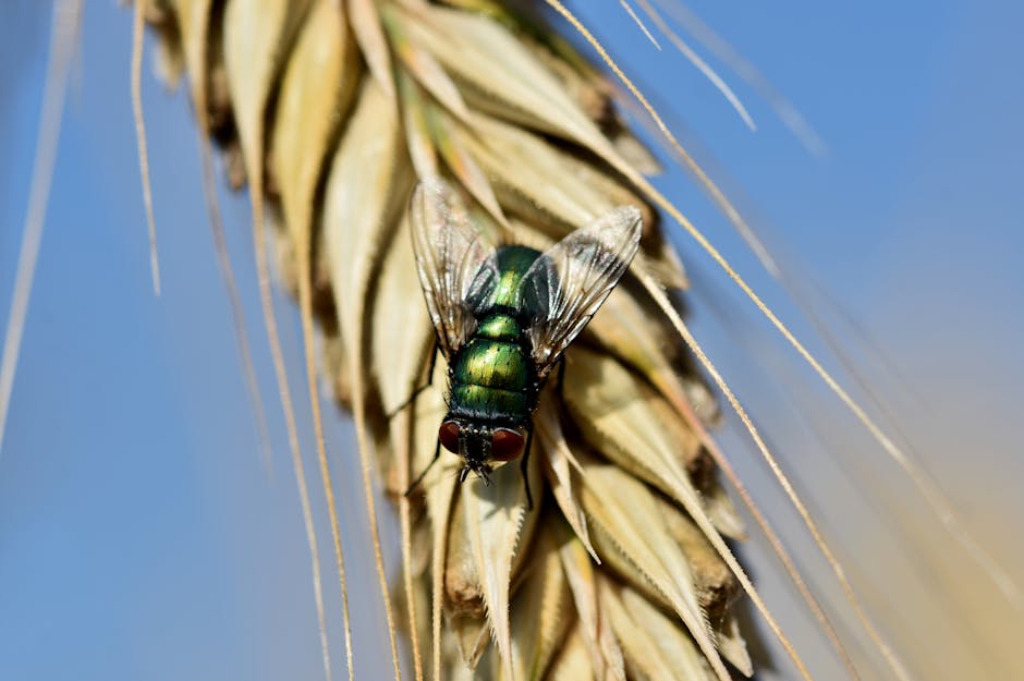 Global Insect Farming Industry Becomes Primary Protein Source as Traditional Livestock Production Ends by 2026