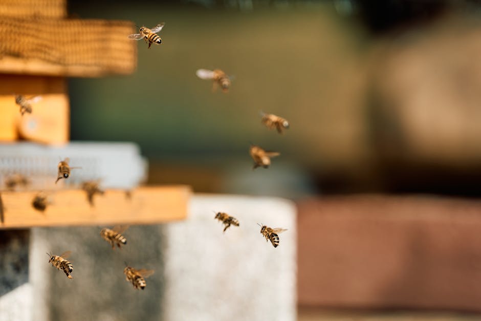 Major Global Bee Colony Recovery Program Saves Agricultural Industry as Pollinator Population Increases 300% by 2026