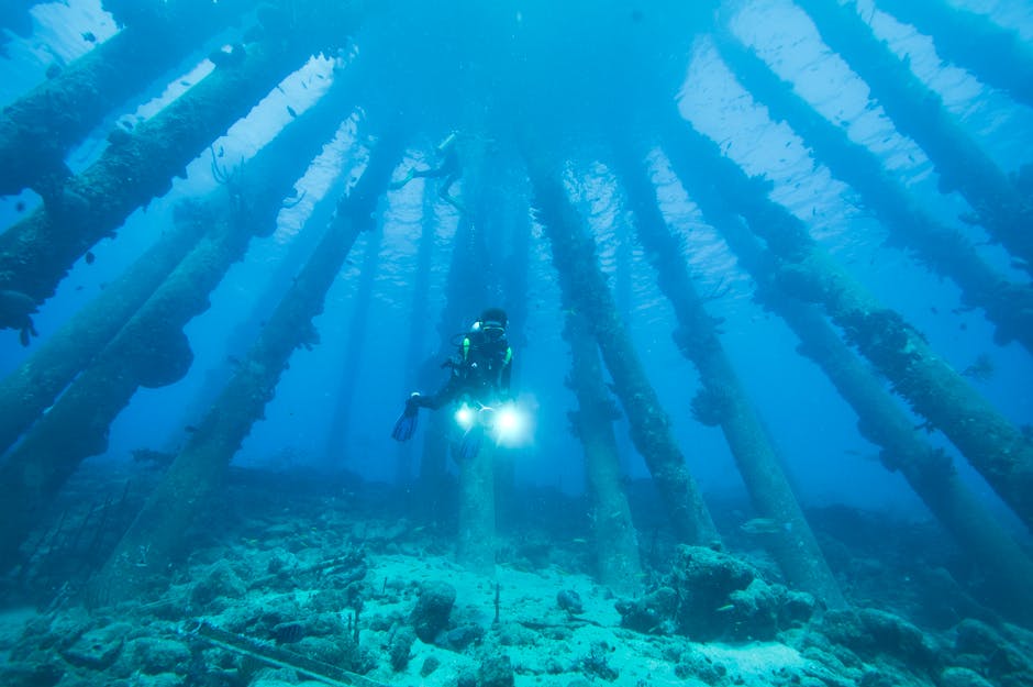 Revolutionary Underwater Cities Project Begins Construction in Pacific Ocean to House 50 Million Climate Refugees by 2026