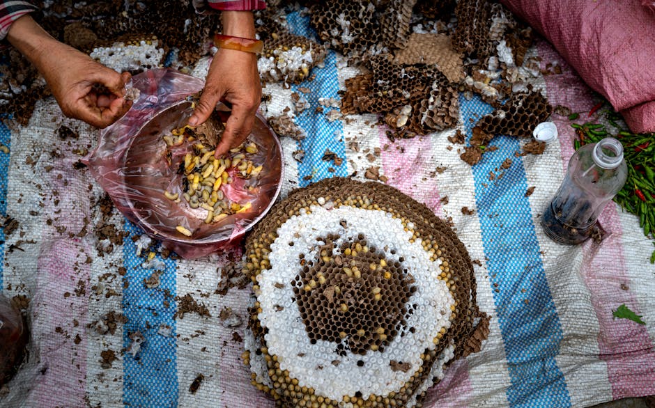 Global Insect Farming Industry Becomes Primary Protein Source as Traditional Livestock Production Ends by 2026