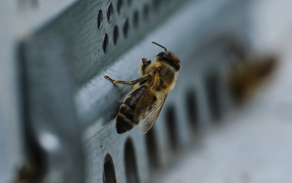 Major Global Bee Colony Recovery Program Saves Agricultural Industry as Pollinator Population Increases 300% by 2026