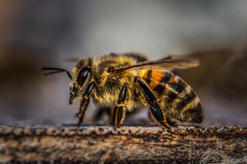 Major Global Bee Colony Recovery Program Saves Agricultural Industry as Pollinator Population Increases 300% by 2026